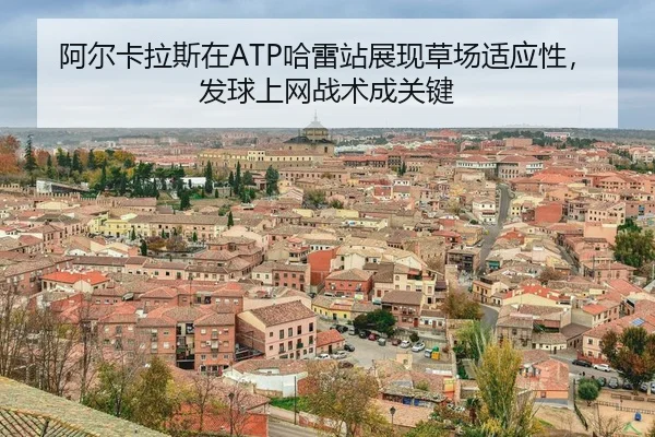 a-er-ka-la-si-zai-ha-lei-zhan-zhan-xian-cao-chang-shi-ying-xing-fa-qiu-shang-wang-zhan-shu-cheng-guan-jian-3-899.jpg
