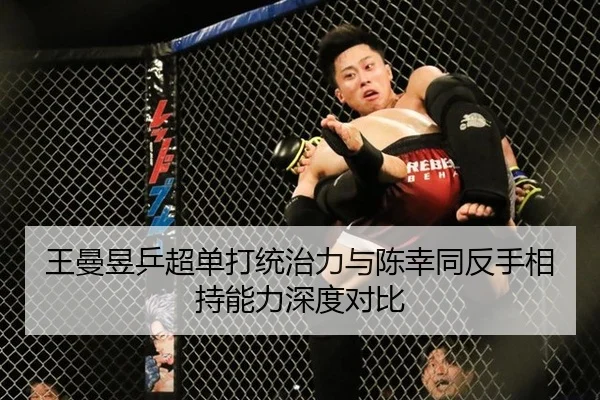 wang-man-yu-ping-chao-dan-da-tong-zhi-li-yu-chen-xing-tong-fan-shou-xiang-chi-neng-li-shen-du-dui-bi-3-762.jpg