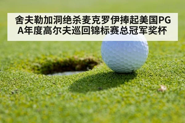舍夫勒加洞绝杀麦克罗伊捧起美国PGA年度高尔夫巡回锦标赛总冠军奖杯