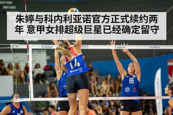 volleyball match action